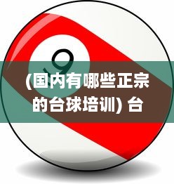 (国内有哪些正宗的台球培训) 台球帝国：解密世界级台球选手的培训、竞争和背后的商业运作