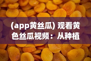 (app黄丝瓜) 观看黄色丝瓜视频：从种植、收获到烹饪各种美食的全过程解析