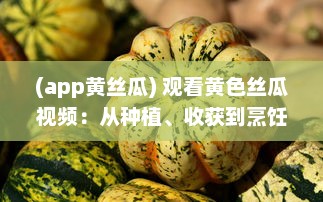 (app黄丝瓜) 观看黄色丝瓜视频：从种植、收获到烹饪各种美食的全过程解析