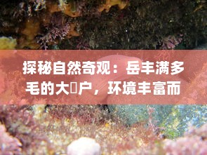 探秘自然奇观：岳丰满多毛的大隂户，环境丰富而神秘的生物栖息地