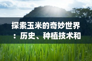 探索玉米的奇妙世界：历史、种植技术和在全球食品产业中的重要地位