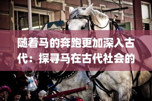 随着马的奔跑更加深入古代：探寻马在古代社会的重要角色及其历史演变