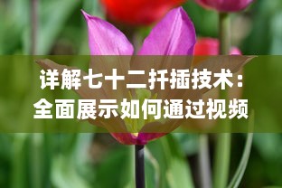 详解七十二扦插技术：全面展示如何通过视频教学高效稼动春季果树扦插繁殖