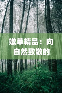 嫩草精品：向自然致敬的环保设计理念，引领时尚品质生活新潮流 v2.3.4下载