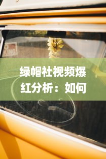 绿帽社视频爆红分析：如何通过独特内容创意吸引大众关注 探索其成功秘诀与挑战 v2.7.0下载