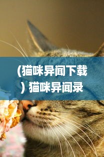 (猫咪异闻下载) 猫咪异闻录：揭秘神秘喵星人的生活习性与聪明才智的小故事