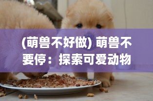 (萌兽不好做) 萌兽不要停：探索可爱动物的无穷魅力与生活趣味的无尽旅程