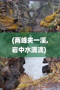 (两峰夹一溪,岩中水滴滴) 两峰夹小溪，地湿又无泥 ，诗意画卷下的自然探索与人生哲思