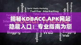 揭秘KDBACC.APK网站隐藏入口：专业指南为您解析使用步骤与注意事项 v2.4.1下载