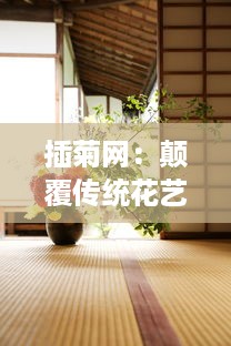 插菊网：颠覆传统花艺设计，重塑现代菊花插花艺术的在线学习平台