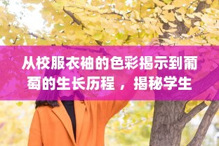 从校服衣袖的色彩揭示到葡萄的生长历程 ，揭秘学生校服中隐藏的艳丽色彩与农业文化的深度融合