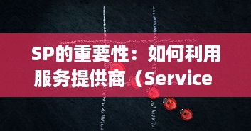 SP的重要性：如何利用服务提供商（Service Provider）有效提高业务运营效率 v7.9.8下载