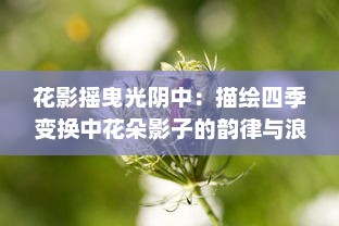 花影摇曳光阴中：描绘四季变换中花朵影子的韵律与浪漫 v7.0.5下载