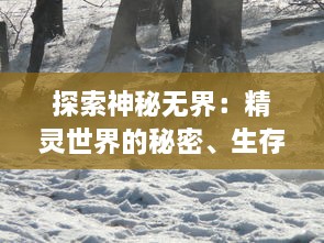 探索神秘无界：精灵世界的秘密、生存法则与和谐共生的奇妙旅程