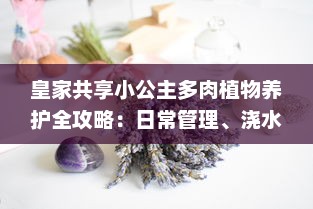 皇家共享小公主多肉植物养护全攻略：日常管理、浇水技巧和养殖环境详细介绍