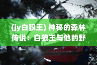 (jy白狼王) 神秘的森林传说：白狼王与他的野性王国的冒险故事