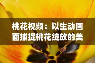 桃花视频：以生动画面捕捉桃花绽放的美丽与韵味，为您带来视觉与感觉的双重享受