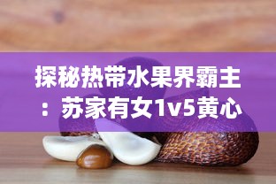 探秘热带水果界霸主：苏家有女1v5黄心火龙果，带你领略独特魅力