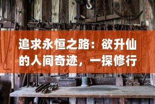 追求永恒之路：欲升仙的人间奇迹，一探修行者追求长生不老的秘密