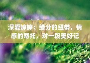 深爱婷婷：缘分的纽带，情感的寄托，对一段美好记忆的持久追忆