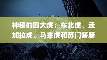 神秘的四大虎：东北虎、孟加拉虎、马来虎和苏门答腊虎的生存状态及保护措施