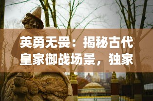 英勇无畏：揭秘古代皇家御战场景，独家走进历史战争的背后真相