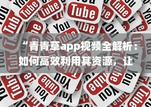 “青青草app视频全解析：如何高效利用其资源，让视频观看体验更上一层楼 ”