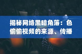 揭秘网络黑暗角落：色偷偷视频的来源、传播及其对社会道德伦理的冲击 v1.9.3下载