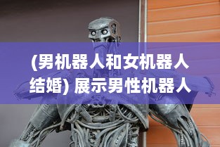 (男机器人和女机器人结婚) 展示男性机器人与女性机器人间互动交流的全新科技实验视频