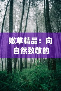 嫩草精品：向自然致敬的环保设计理念，引领时尚品质生活新潮流 v9.8.8下载