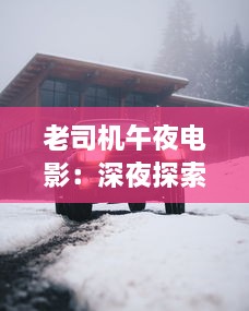 老司机午夜电影：深夜探索未知秘境，分享人生驾驶经验之旅