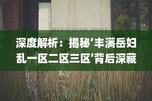 深度解析：揭秘‘丰满岳妇乱一区二区三区’背后深藏的社区乱象与社会问题 v6.6.9下载