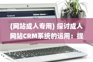 (网站成人专用) 探讨成人网站CRM系统的运用：提升用户体验和网站营收的关键策略