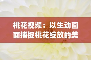 桃花视频：以生动画面捕捉桃花绽放的美丽与韵味，为您带来视觉与感觉的双重享受 v9.7.1下载