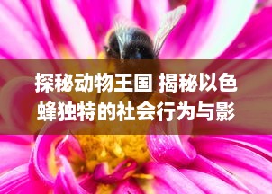 探秘动物王国 揭秘以色蜂独特的社会行为与影响力：了解它们如何通过视频传播改变生态系统 v9.4.4下载