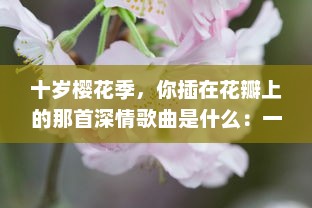 十岁樱花季，你插在花瓣上的那首深情歌曲是什么：一段青春记忆的音符流转 v8.2.7下载