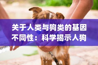 关于人类与狗类的基因不同性：科学揭示人狗难以杂交形成后代的生物学原理 v1.7.0下载