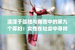 浸淫于孤独与痛苦中的第九个寡妇：女性在社会中寻找生存立足点的艰难挣扎