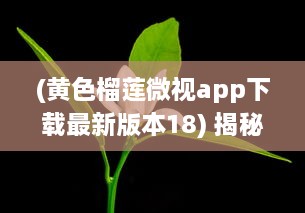 (黄色榴莲微视app下载最新版本18) 揭秘黄色榴莲视频：品鉴独特美食文化与探究神秘的榴莲世界