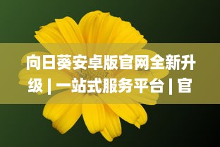 向日葵安卓版官网全新升级 | 一站式服务平台 | 官方直达下载，安全放心 v9.0.8下载