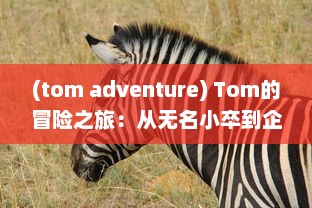 (tom adventure) Tom的冒险之旅：从无名小卒到企业巨头的成长历程