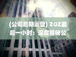 (公司后期运营) ZOZ最后一小时：深度揭秘公司运营背后的惊人内幕和未来决策方向