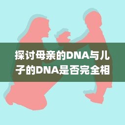 探讨母亲的DNA与儿子的DNA是否完全相同：遗传学与家庭关系的精细解读