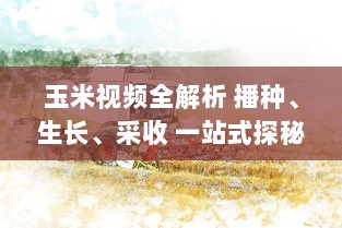 玉米视频全解析 播种、生长、采收 一站式探秘玉米的奇妙旅程，带你领略农业的魅力 v9.4.7下载