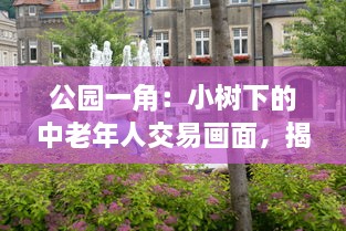 公园一角：小树下的中老年人交易画面，揭示城市生活中不为人知的一面图片集展示