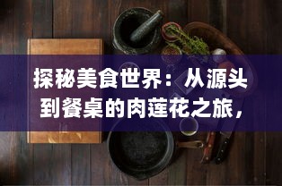 探秘美食世界：从源头到餐桌的肉莲花之旅，一段揭示中国传统烹饪艺术的美味探索 v6.3.3下载