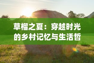 草榴之夏：穿越时光的乡村记忆与生活哲学的深度挖掘