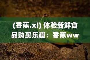 (香蕉.xl) 体验新鲜食品购买乐趣：香蕉www.5.app引领线上水果销售新趋势