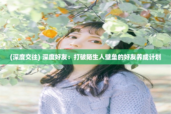 (深度交往) 深度好友：打破陌生人壁垒的好友养成计划