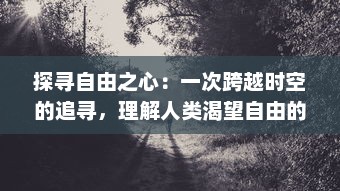 探寻自由之心：一次跨越时空的追寻，理解人类渴望自由的深刻内涵与独特价值